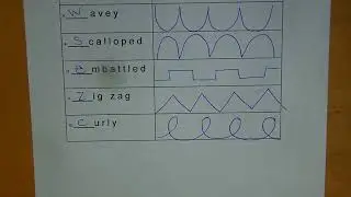 Line Review for Fourth Grade