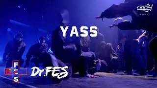 【Dr.FES】YASS