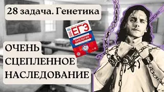 ПОЛНОЕ СЦЕПЛЕНИЕ НА ЕГЭ