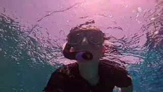 snorkeling red sea 2023