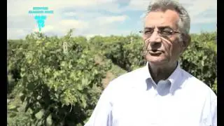 Η Οινοποιία Τσάνταλη στο New Wines of Greece