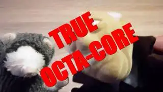 Intro