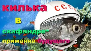 Килька в скафандре. Действительно, это Приманка Будущего.
