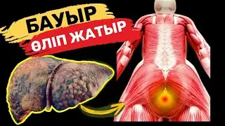 Бауырыңыздың өліп жатқанының белгілері! 90% адам бауыр ауруы жайлы білмейді. Бауыр ауруы.