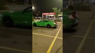 Mustang 5.0 the beast