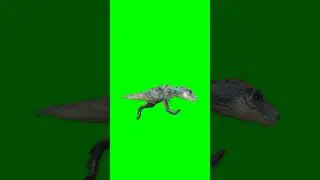 Dinosaur 🦖 running green screen 
