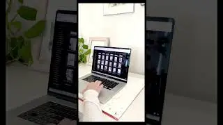 Showit Website Customization for an Artist