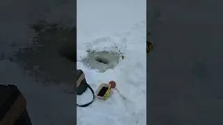 16 февраля 2024 г.