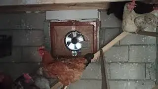 automatic chicken coop fan