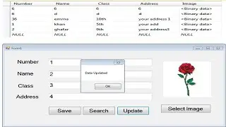 Update Query In Vb.net With Sql Server
