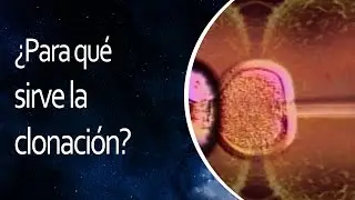 ¿Para qué sirve la clonación? 💡 El Universo en 1 Minuto