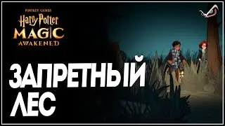 Harry Potter: Magic Awakened ● Запретный Лес ●  Прохождение на русском
