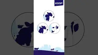Prompt Boveasy - Detect Cattle Pregnancy in Just 28 Days
