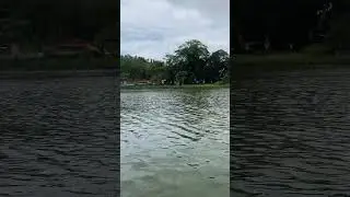 YERCAUD LAKE