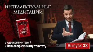 Интеллектуальные медитации. Видеокомментарий к Психософическому трактату: выпуск 33