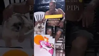 Pai e seu cãozinho