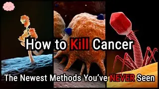 Beyond Chemo: How These New Cancer Treatments Could Change Everything