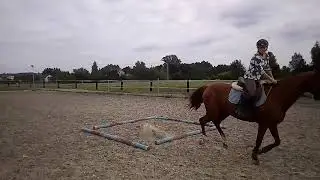 VID 20190916 111338