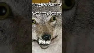 Ауф...