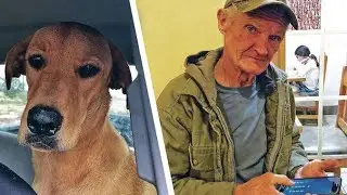 DAILY DOSE - DOG SHUTS UP OWNER #dailydoseofinternet