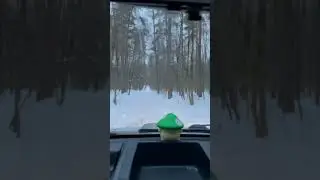 Штраф