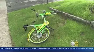 Dockless Bikes Expanding In New York?