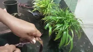 Como fazer uma linda decoração com minhes jarros