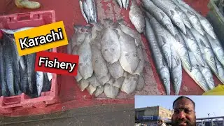 Latest Rates of Fish | Karachi Fisheries | 26th october 2019