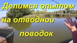Отводной поводок  Урок