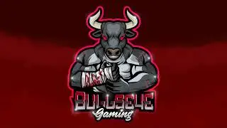 Best Chair in the Game; BULLSEYE GAMING