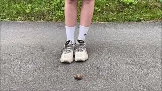 Girl walks near a group of snails