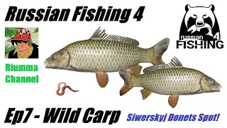 Russian Fishing 4 - Ep7 - Wild Carp - Siwersky Donets River