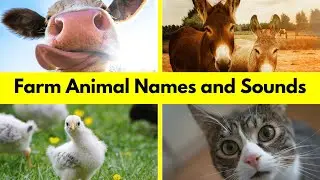 Farm Animals Names and Sounds For Kids to Learn | Learn Animal Names
