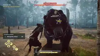 Assassin's Creed Odyssey |  How to kill LEGENDARY ANIMAL | Kallisto Bear