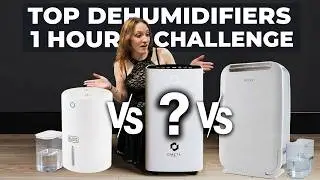 Top 3 Dehumidifiers 1 hour Test - Side By Side Real Life Test