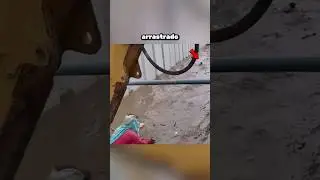 ¿Sobrevivirá a la furia del río? 😱🌊