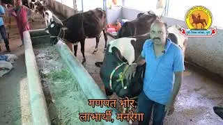 महात्मा गांधी रोजगार हमी योजना लाभार्थी मनोगत |  जनावर गोठा लाभार्थी