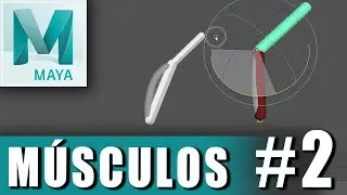 Músculos y Cápsulas en AUTODESK MAYA 2019