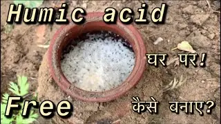 Save money free | Humic Acid at home | Janiye Kaise banaye FREE | Organic Fertiliser|Great results