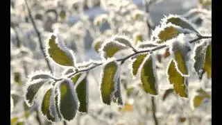 Autumn Song (детская песня из журнала 