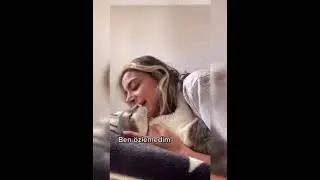 KEDİ VİDEOSU !!!! #instagram #Shorts #cat