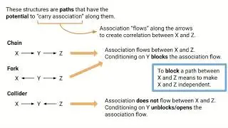 Causal and Noncausal Paths