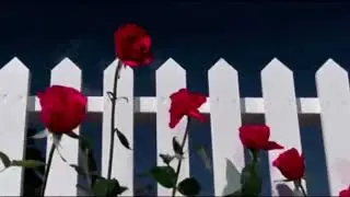 OUTRO AESTHETIC/PANTALLA FINAL AESTHETIC/OUTRO AESTHETIC TEMPLATE/OUTRO AESTHETIC FREE