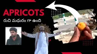 పాకిస్తాన్ అంటే మాకు చాలా ఇష్టం / one man one life one tree / #urskanna