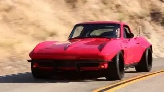 The Original Sting Ray - /BIG MUSCLE