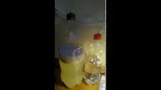 Mayalı co2 denemesi
