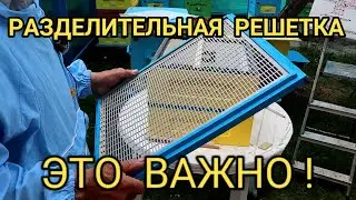 Bees readily pass through the separating grid due to the correct dimensions of the binding.