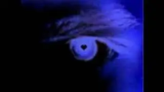 DJ Promo - King Of Pain