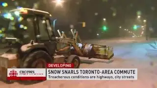 Toronto gets some spring misery