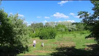 Подготовка грядки для земляники. Заморозки и нас не обошли